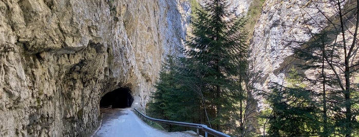 Trigradsko Gorge is one of Must-visit places in Bulgaria.