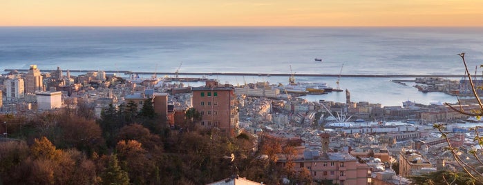 Righi is one of How to survive (and fall in love with) Genova. <3.