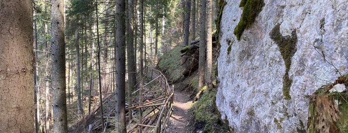 Екопътека "Дяволската пътека" is one of Rhodope mountains.