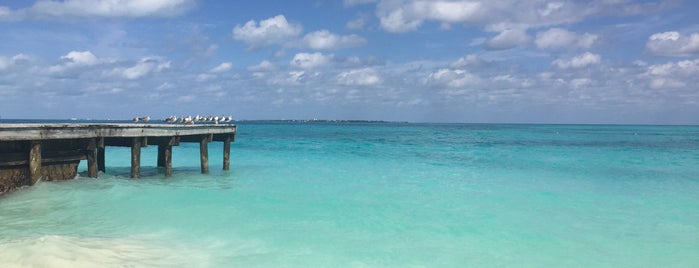 Playa/Beach is one of Rafael : понравившиеся места.