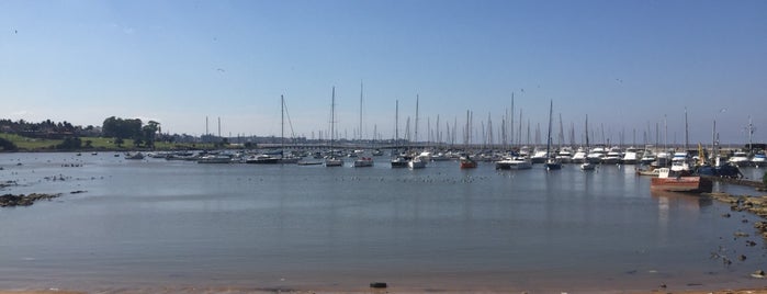 Playa de los Pocitos is one of Orte, die Rafael gefallen.