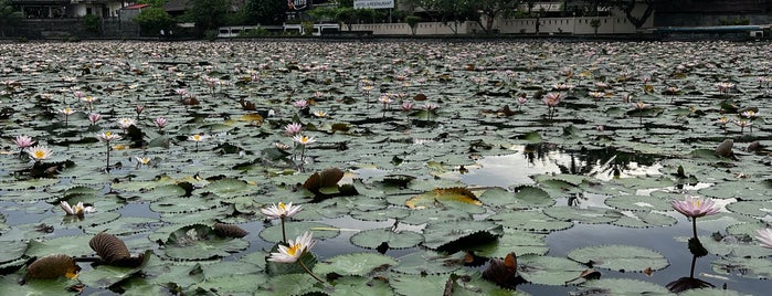 Candidasa Lotus Pool is one of Bali places.