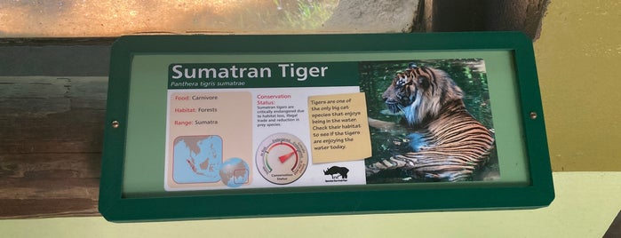 Sumatran Tiger Exhibit is one of สถานที่ที่ Lizzie ถูกใจ.