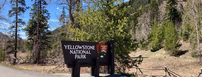 Yellowstone National Park is one of Butte, MT and Yellowstone NP.