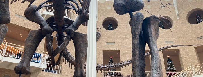 Fernbank Museum Giant Screen Theater is one of The 15 Best Movie Theaters in Atlanta.