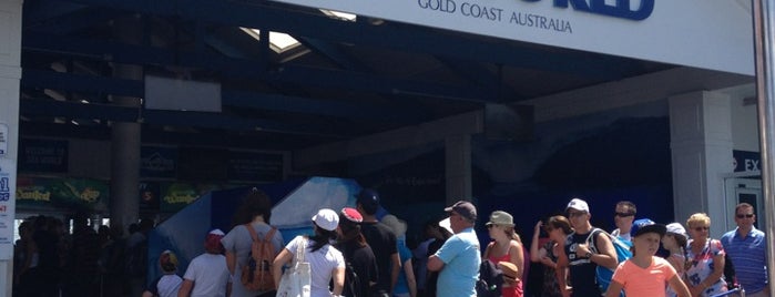 Sea World is one of Gold coast.
