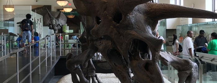 American Museum of Natural History is one of Posti che sono piaciuti a Roberto.