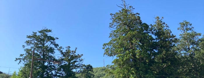 足助八幡宮 is one of 東海地方の国宝・重要文化財建造物.