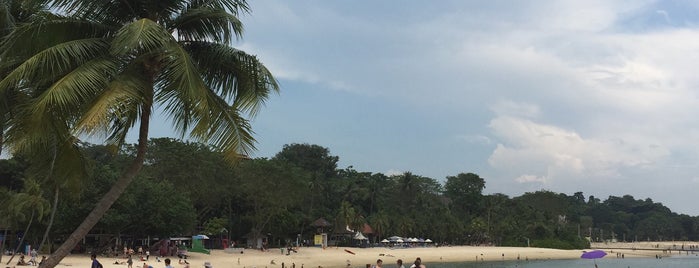 Palawan Beach is one of Lieux qui ont plu à phongthon.