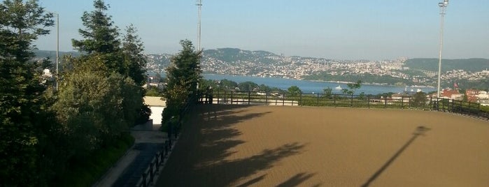 İstanbul aktivite
