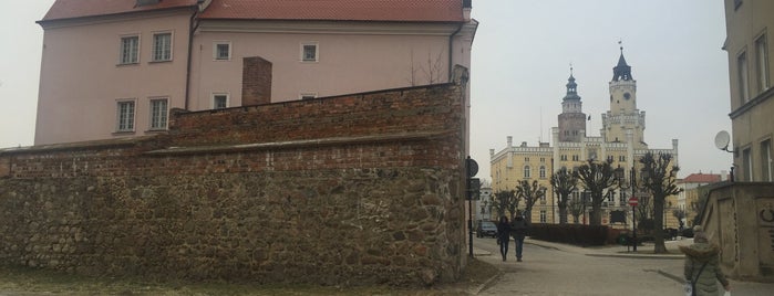 Mury obronne przy zamku is one of Wschowa - miasteczko doskonałe.