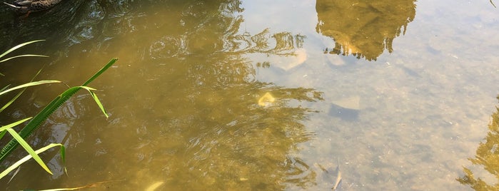 Emma’s Duck Pond is one of 111 Cambridge places.