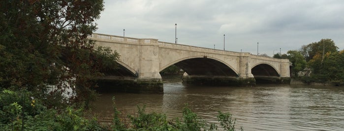 Chiswick Bridge is one of Thames Crossings.