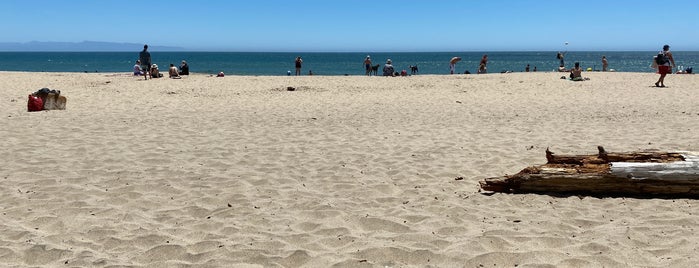 Dog Beach is one of Locais curtidos por IS.