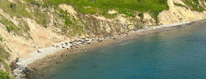Elephant Seal Overlook is one of California.