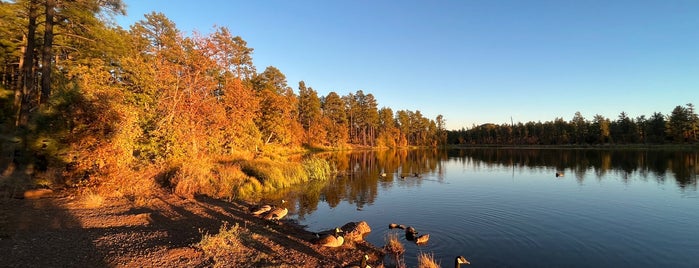Woodland Lake Park is one of Pinetop.