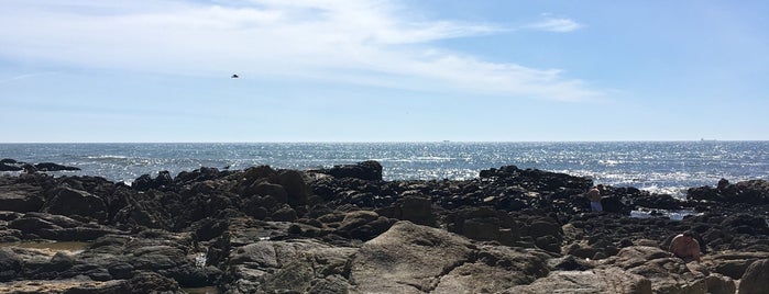 Praia dos Beijinhos is one of Porto - Portugal.