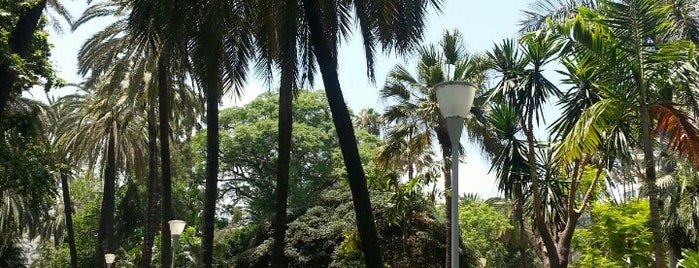 Paseo del Parque is one of Malagaaaaa.