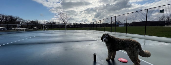 Smith Park is one of Chicago Dog Parks.