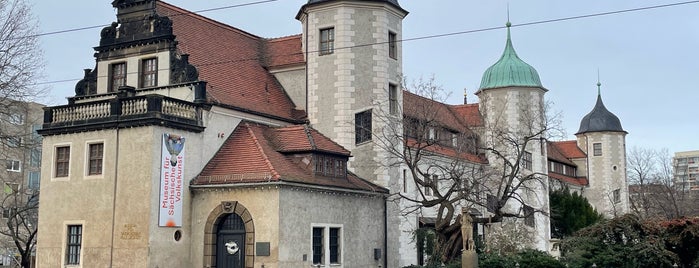 Museum für Sächsische Volkskunst mit Puppentheatersammlung is one of Dresden 1/5🇩🇪.