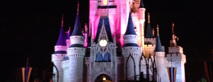 Cinderella Castle is one of Lugares favoritos de StarGirl11.