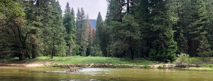 Yosemite National Park is one of USA Road Trip 2019.