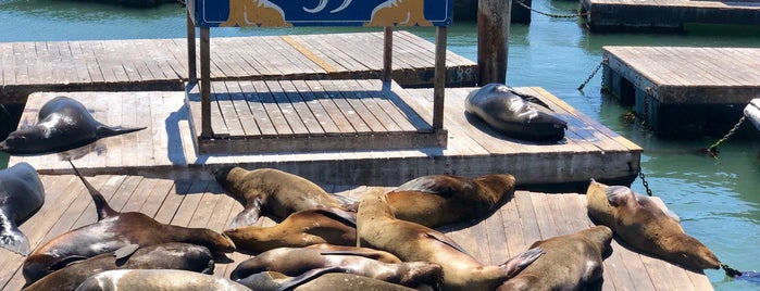 Pier 39 is one of USA Road Trip 2019.