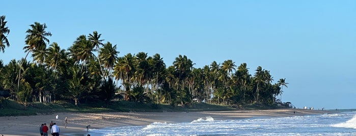 Iberostar Bahia Hotel Praia do Forte is one of สถานที่ที่ Sabrina ถูกใจ.