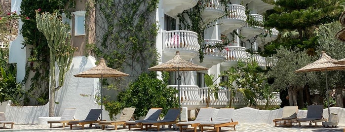 Hotel Flamingo is one of Perfect week in Olideniz.