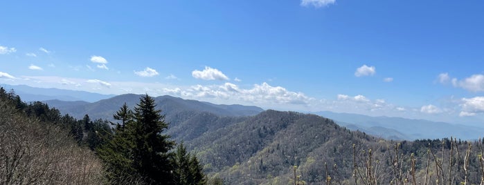 Newfound Gap is one of Great Smoky Mountains.