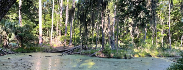Skidaway Island State Park is one of Savannah trip.