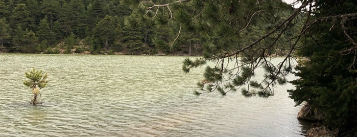 Λίμνη Δασίου is one of Τρίκαλα.