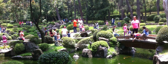 Jardín Japonés is one of Gilberto’s Liked Places.