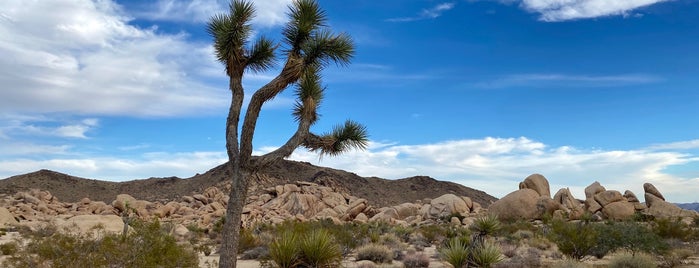 Joshua Tree National Park is one of SoCal.