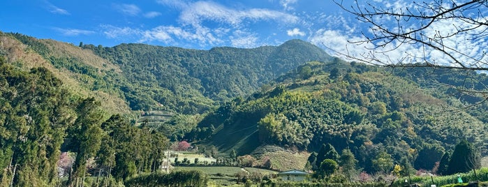 草坪頭林道 is one of Taiwan.