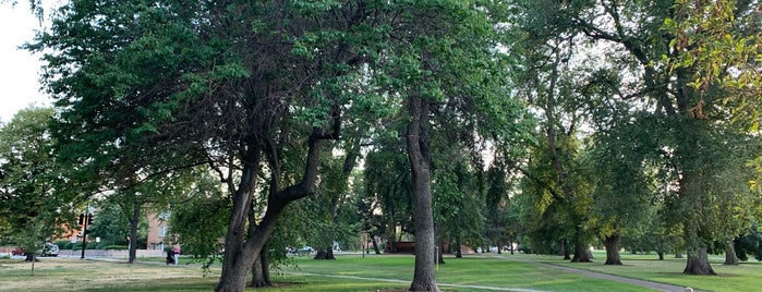 City Park is one of สถานที่ที่ Irina ถูกใจ.