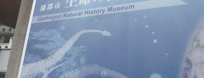 Gamagori Natural History Museum is one of VisitSpotL+ Ver8.