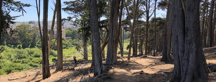 Lobos Creek Trail is one of สถานที่ที่ Scott ถูกใจ.