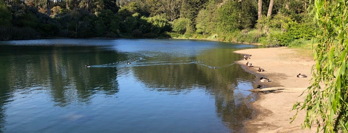 Elk Glen Lake is one of Eveさんのお気に入りスポット.