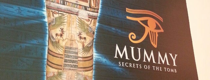 Mummy: Secrets Of The Tomb is one of Museums.