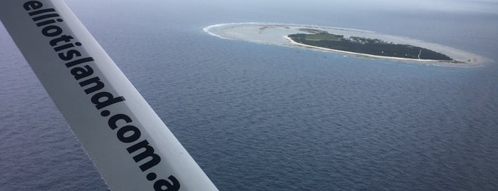 Lady Elliot Island is one of Nomura Tours.