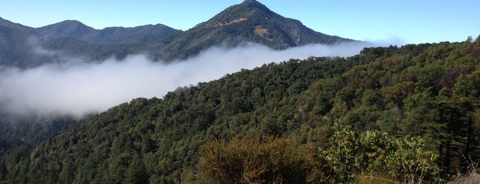 Bottcher's Gap is one of South Bay: To Do.