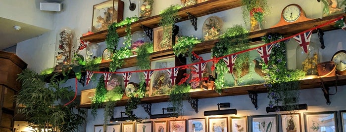 Mr Fogg’s House of Botanicals is one of London nightout.