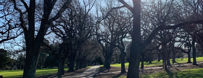 Fawkner Park is one of Parks & Places 🌲🌳.