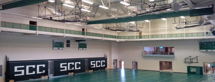 St.Clair College Sports Plex is one of favs.
