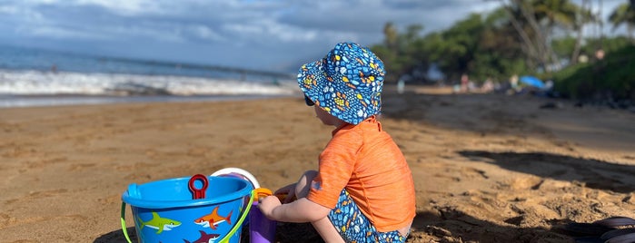 Ulua Beach is one of Hawaii – Maui.