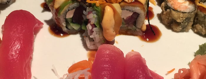 Sushi Alive is one of Tampa.