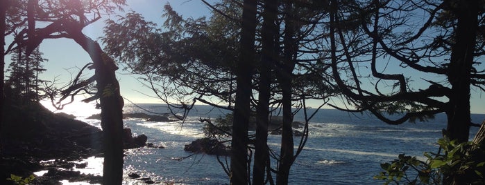 Wild Pacific Trail is one of Vancouver Island.