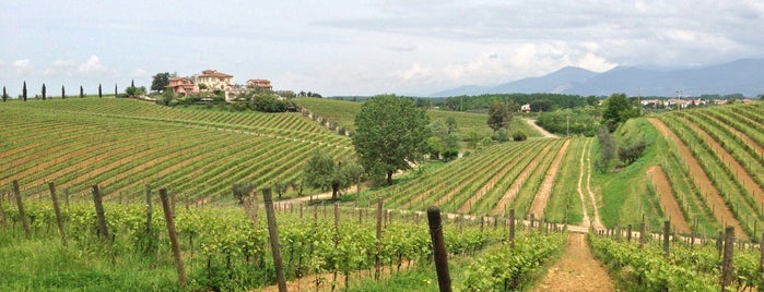 Poggio al Casone wine resort is one of Hotel & BB.