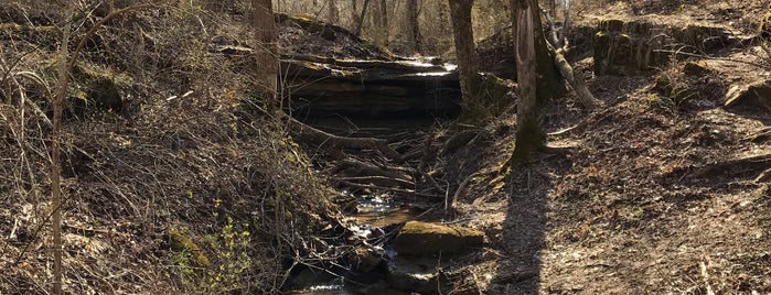 Creasey Mahan Nature Preserve is one of Louisville Family Fun Spots.